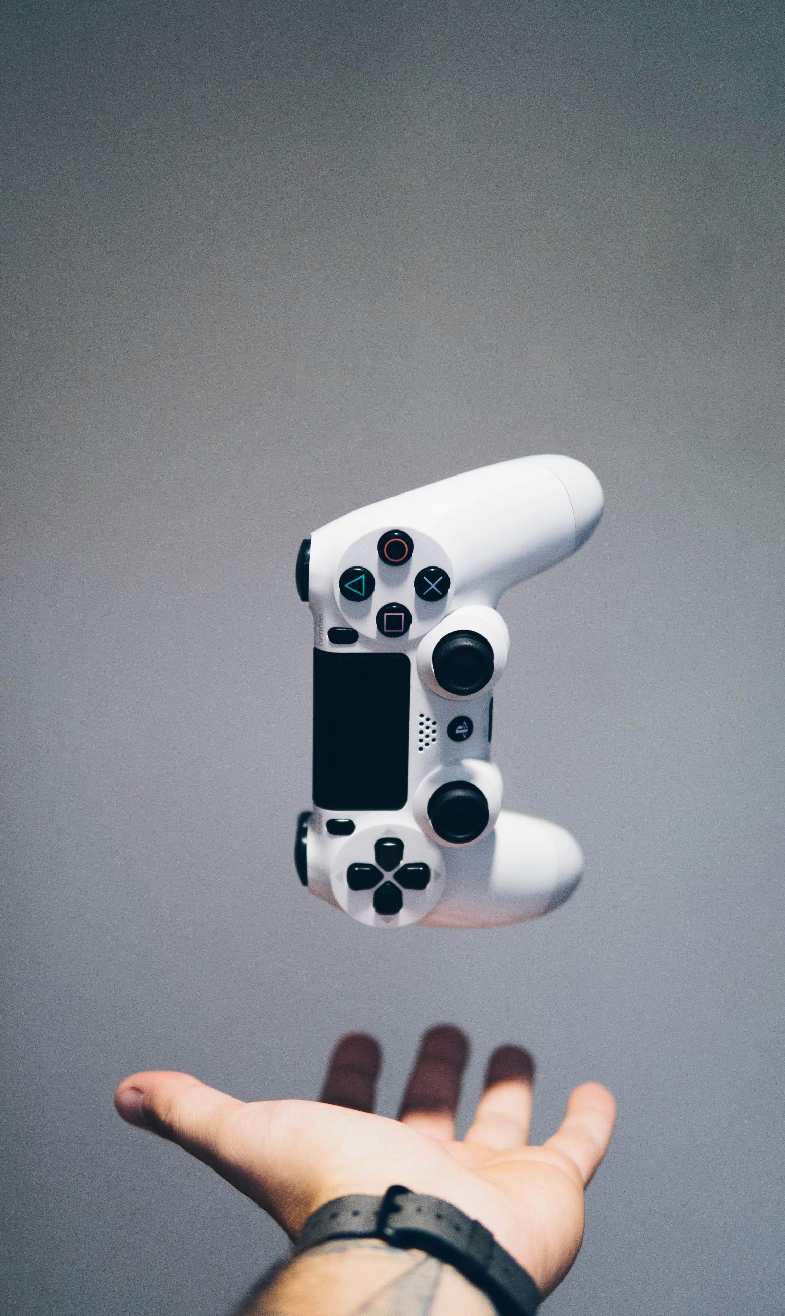 nikita-kachanovsky-FJFPuE1MAOM-unsplash(1)
